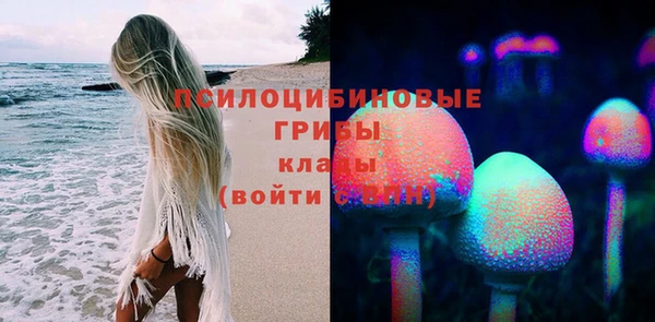 гидропоника Козловка