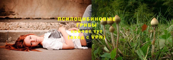 MDMA Кодинск