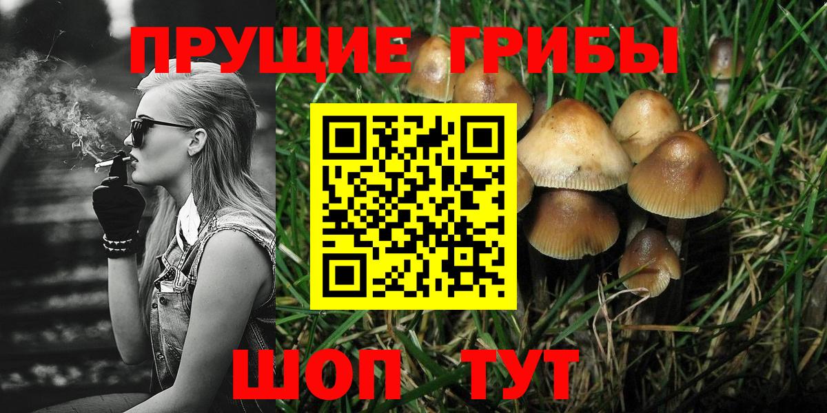 Октябрьский  Галлюциногенные грибы мицелий  Вход с VPN  Галлюциногенные грибы Psilocybine cubensis 
