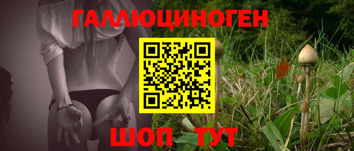 Псилоцибиновые грибы Psilocybe  Октябрьский 